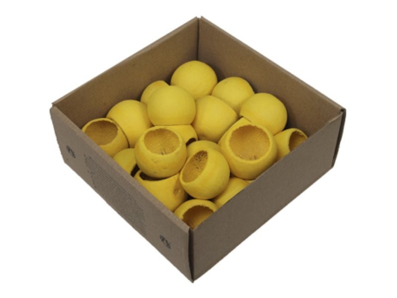 BELLA CUPS MINI 20uni GROC