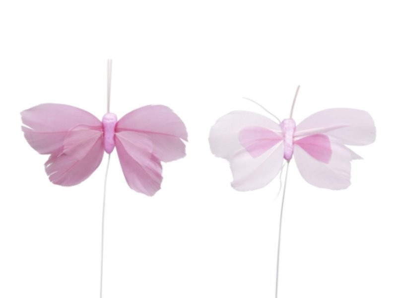 PAPALLONES PLUMA 8cm 48pc Rosa/Rosa