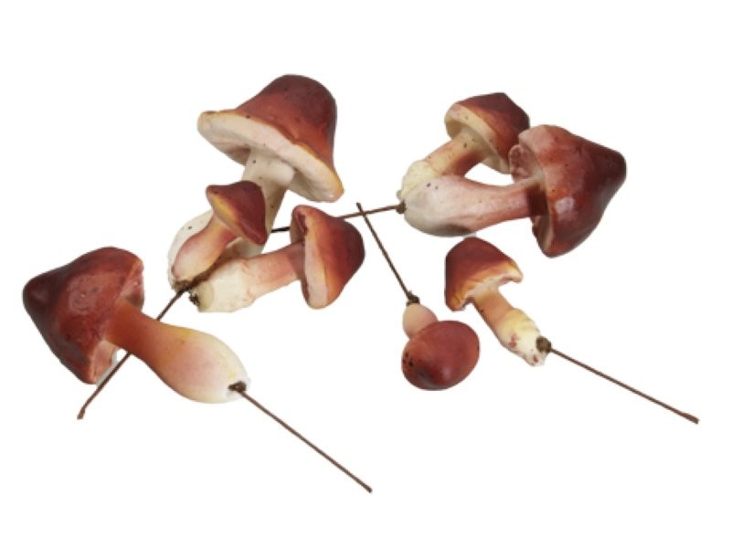 BOLET ENFILFERRAT 24u MIX