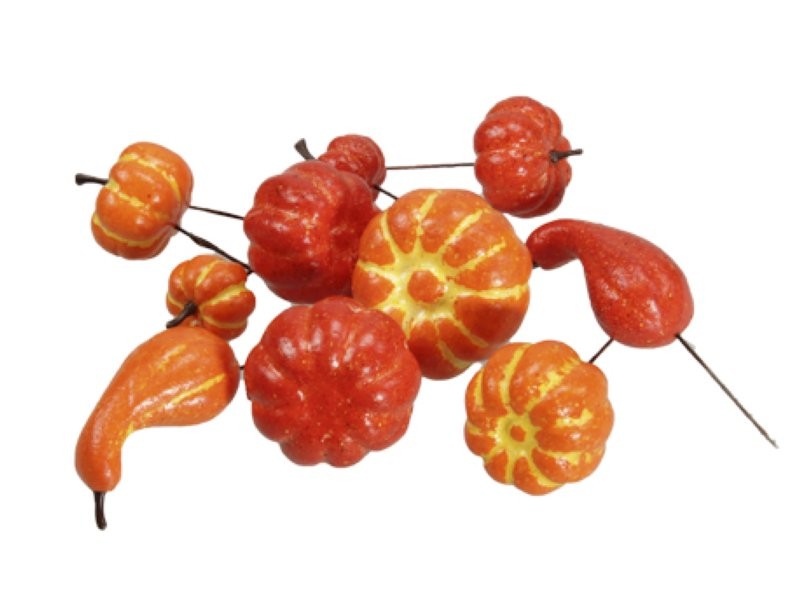 CARBASSES AMB FILFERRO 24uni mix