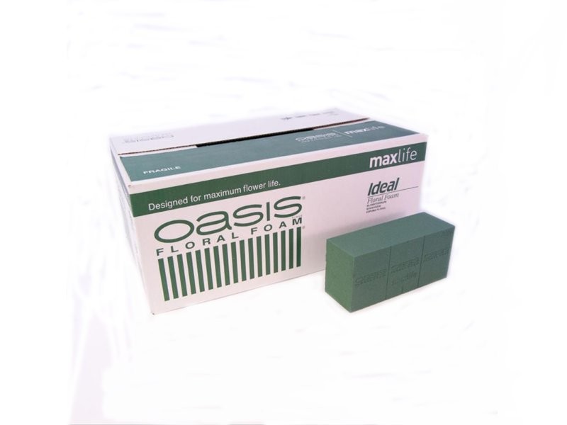 OASIS ACB ESCUMA FLORAL IDEAL 20 pastilles