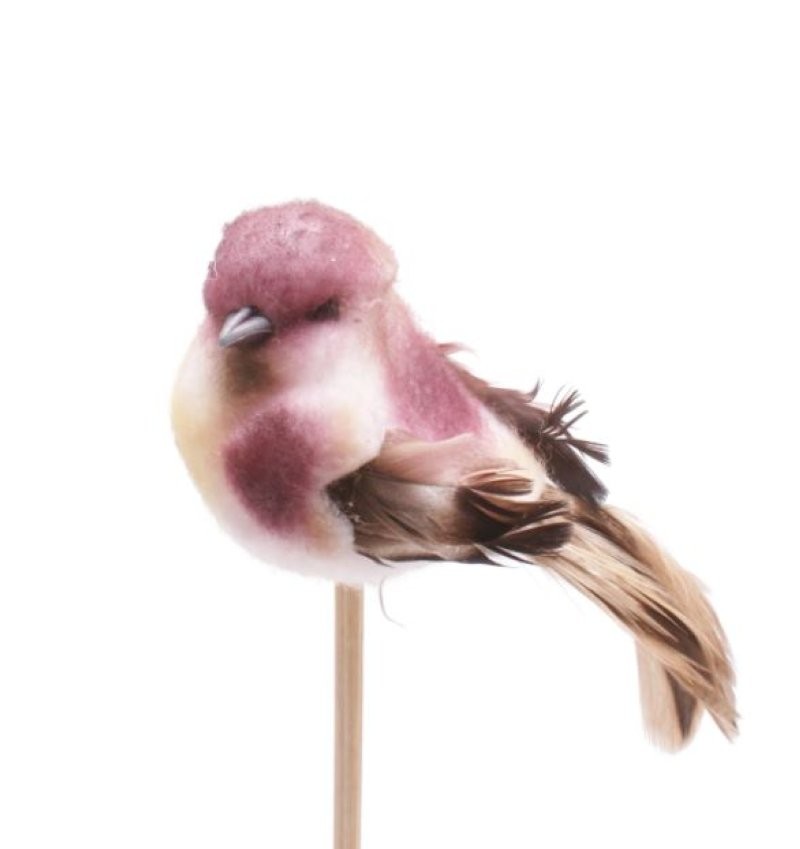 PICK OCELL LILA 6.5cm STICK 50cm  x10uni