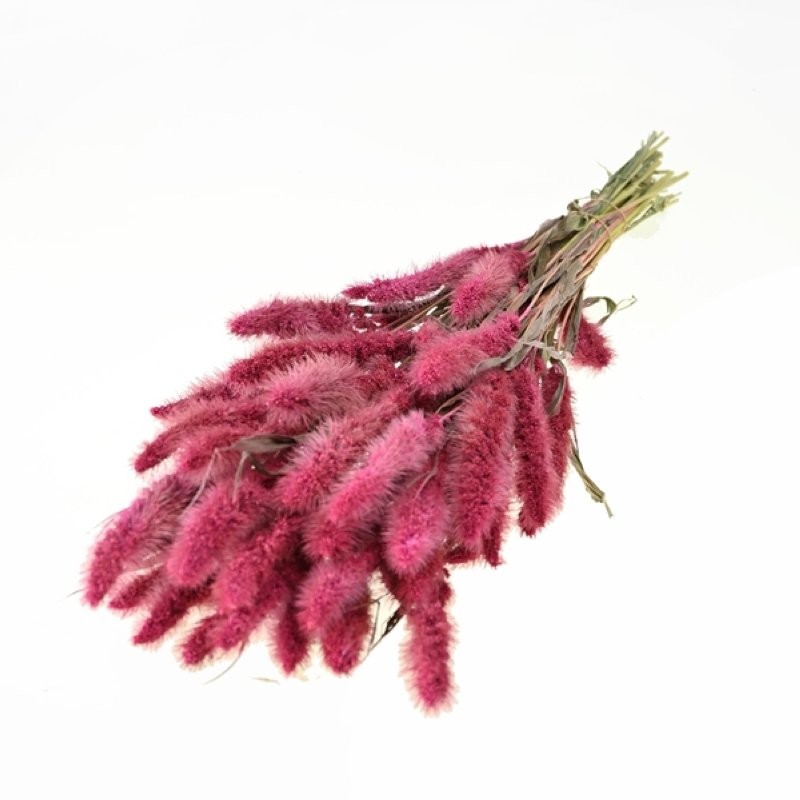 F.SECA, Setarea rosa dolç CRAFT