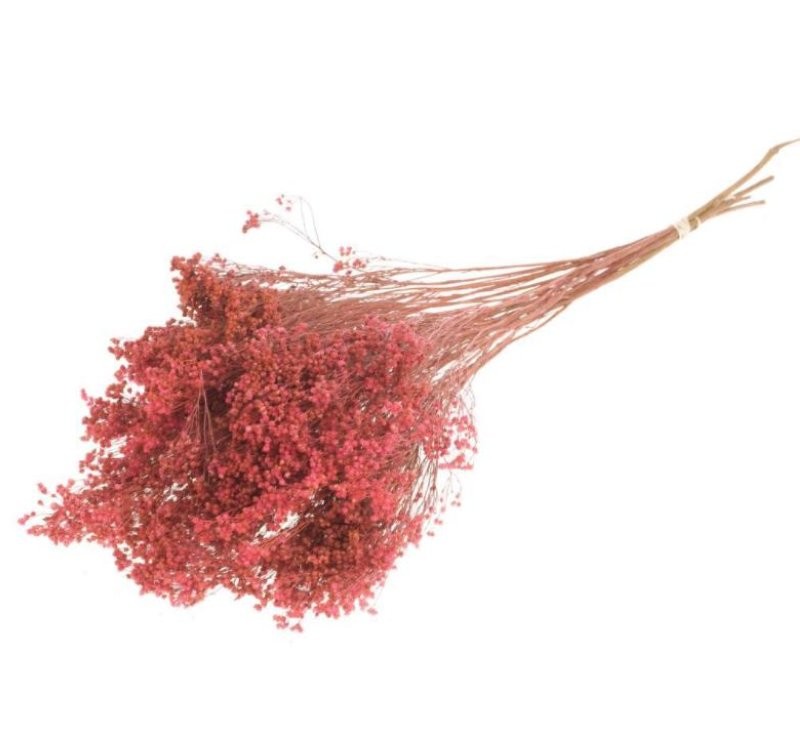 F.SECA, Broom bloom pom taronja fort CRAFT