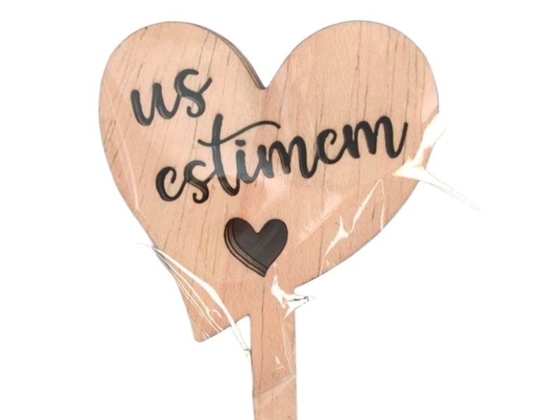 PICK US ESTIMEM h25cm 5u