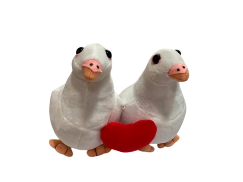 COLOMS PARELLETA COR 15x22x18cm PELUIX