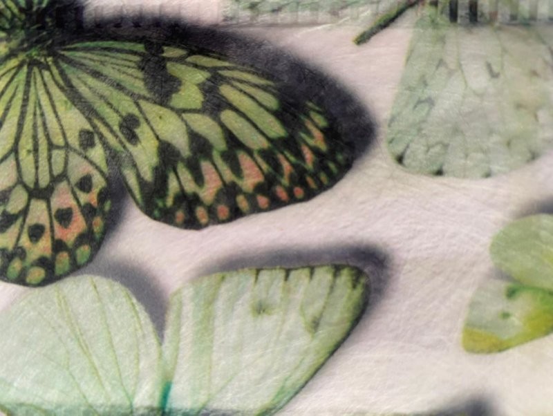 CINTA FIBRA papallona 70mm x 25m VERD