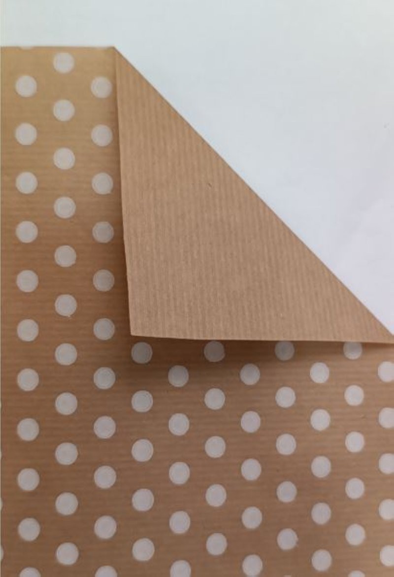 BOBINA PAPER PUNTS BLANCS 62cmx100m