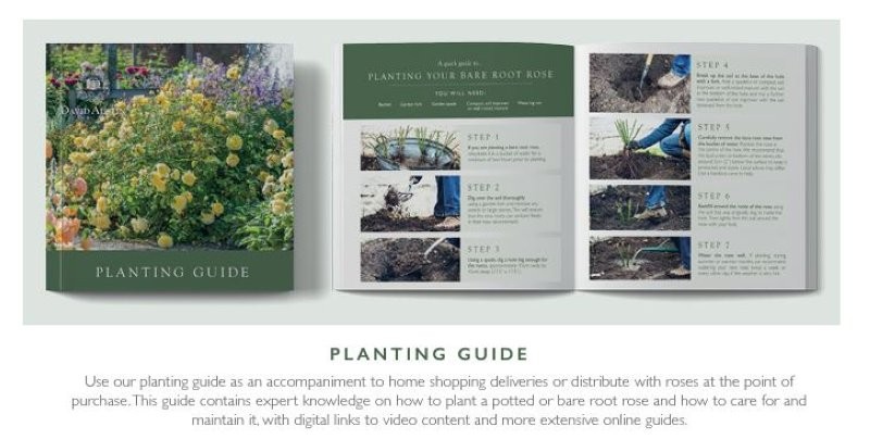 CUSTOMER PLANTING GUIDE - ENGLISH VERSION