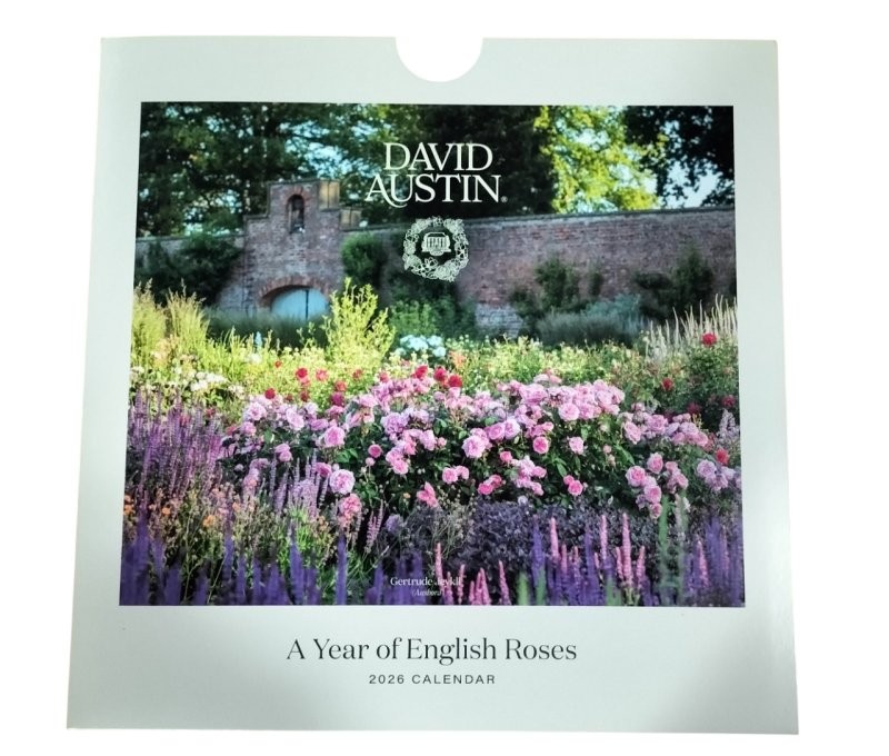 CALENDARI PARET 2026