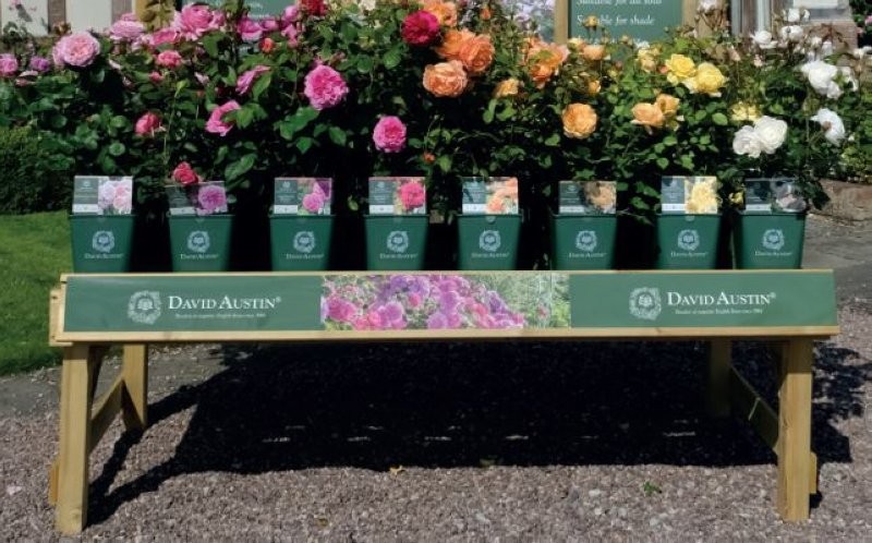 BED LABEL STRIP - BENCH BANNER