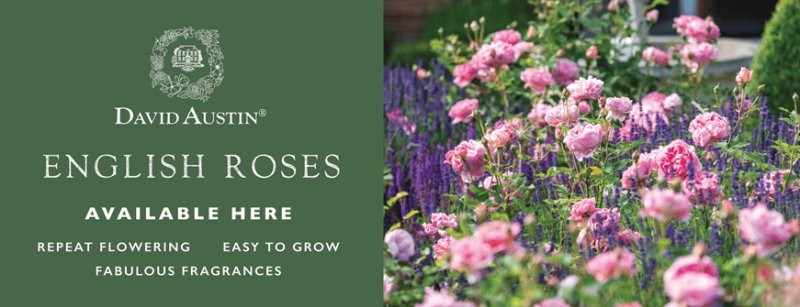 SALES BANNER LONA EXTERIOR 21x180cm