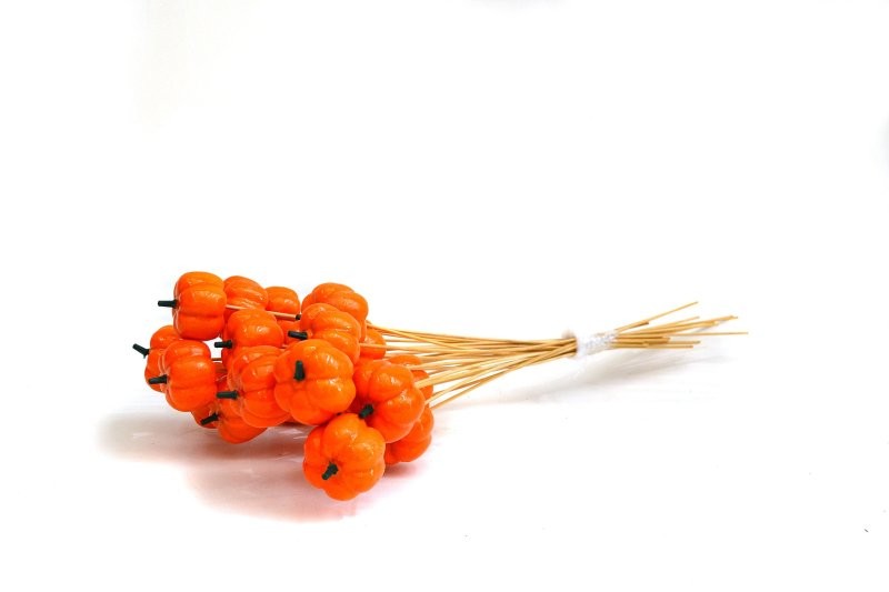 PICK CARBASSA 6cm 50cm stick taronja 25pcs