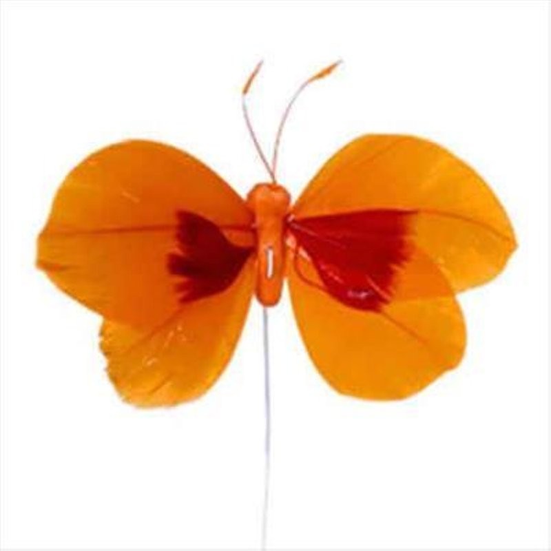 PICK PAPALLONA PLOMES TARONJA 48UNI FILFERRO