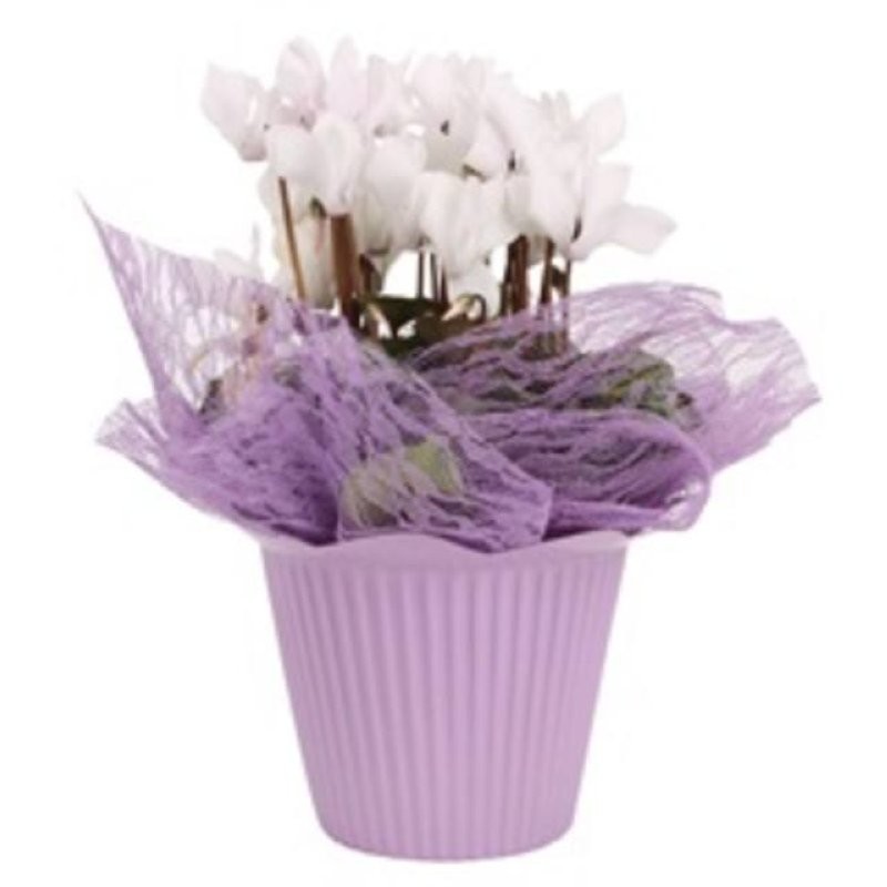 FULLA MALLA Lace 40x40 LILA (paq.x100)