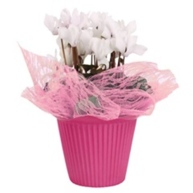 FULLA MALLA Lace 40x40 ROSA (paq.x100)