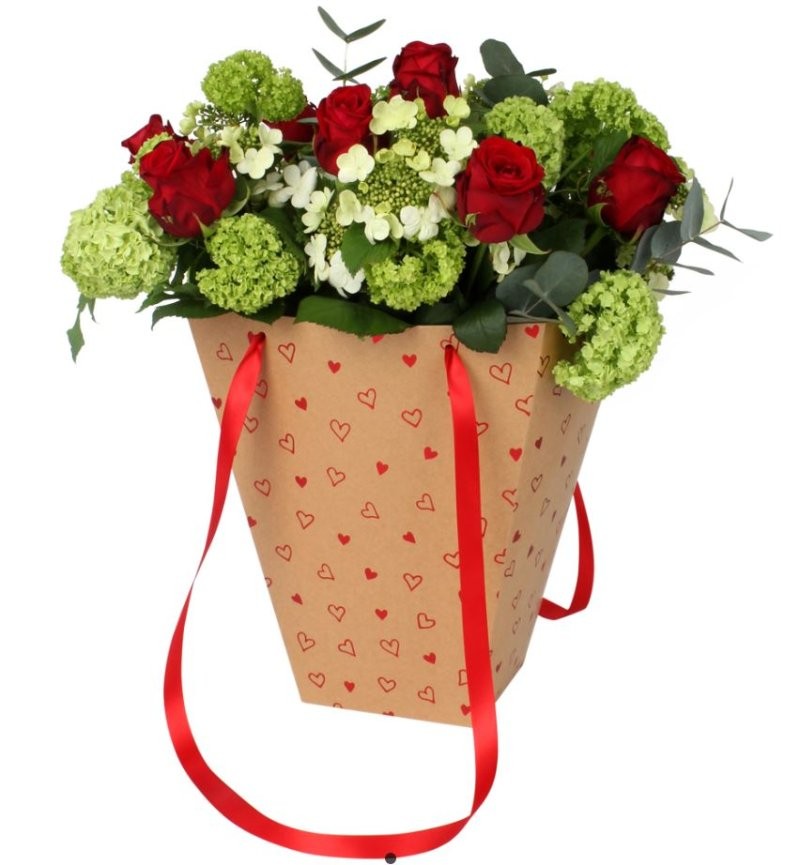 BOSSA CARTRO LOVE 24/24X13/13XH30 10U VERMELL