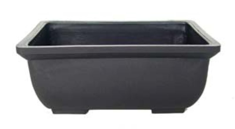 TEST BONSAI plastic 15x10x6cm