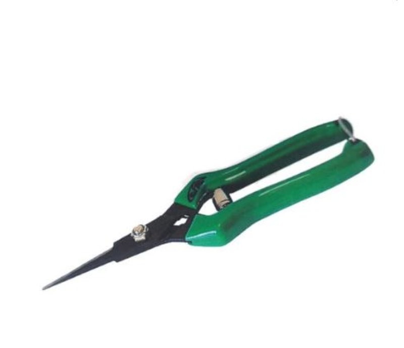 OASIS ACB TISSORES CARBONO