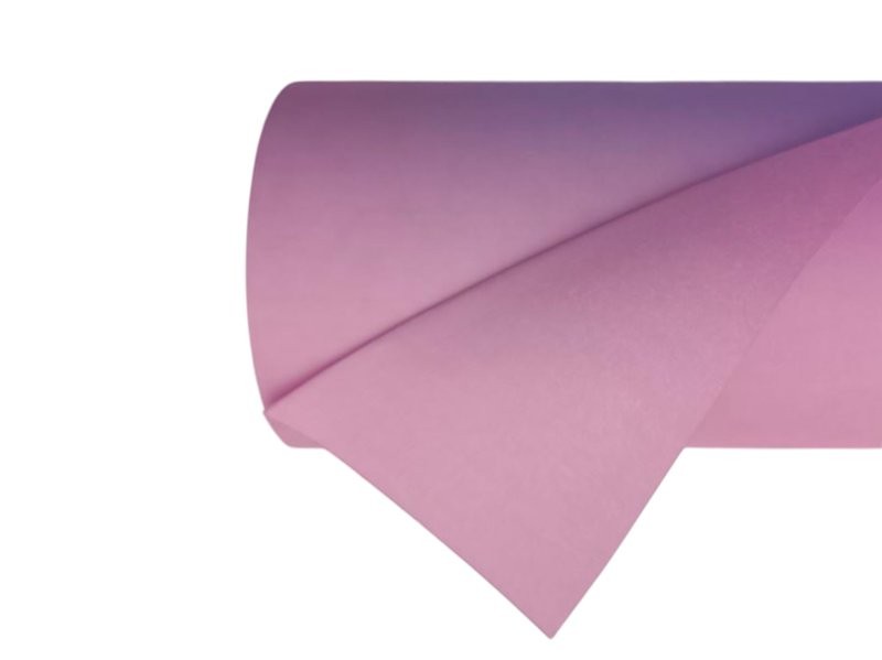 BOBINA CELULOSA MALVA ANTIHUMITAT 2CARES 70cmX50m