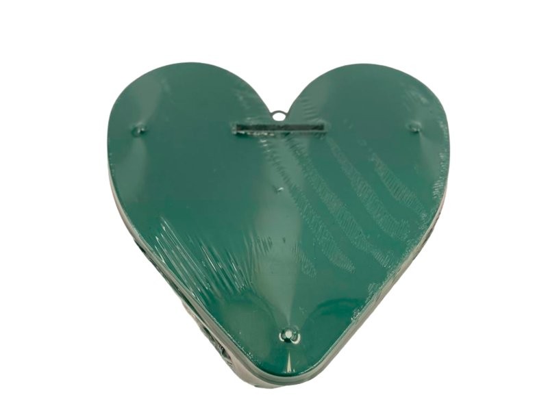 OASIS ACB COR ESPUMA FLORAL 20cm 2UN