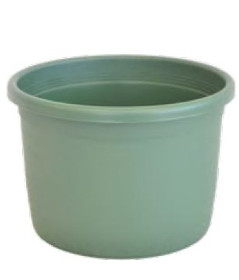 OASIS ACB TARRINA ALTA D17cm H12cM PG VERD