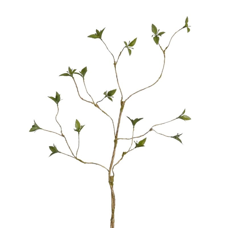 BRANCA AMB FULLES VERD L105cm