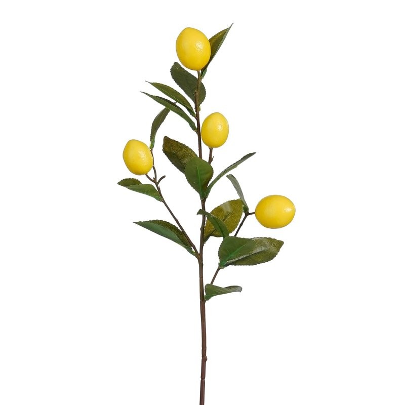 BRANCA LLIMONER L72cm