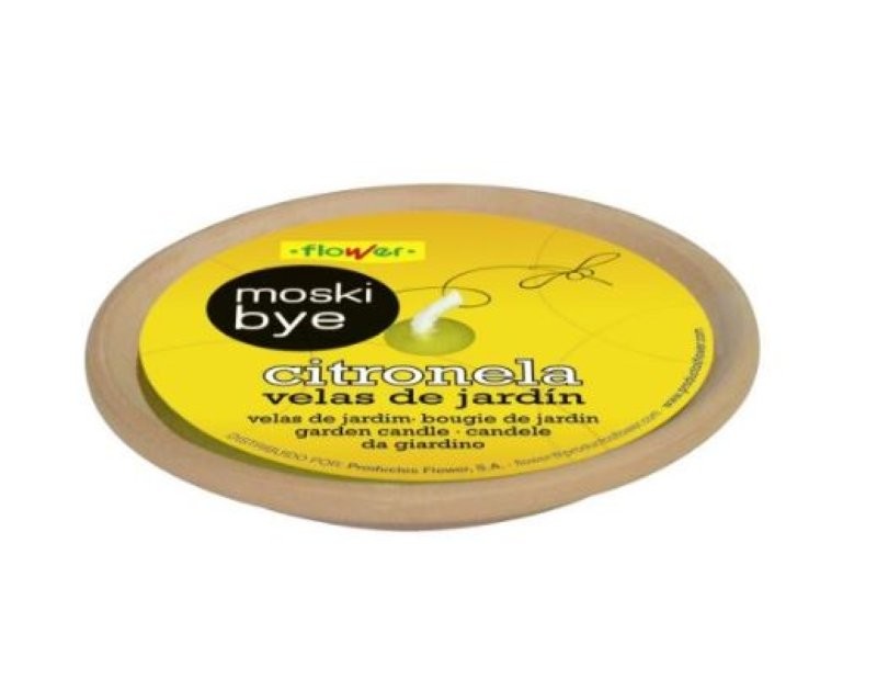 ESPELMA CITRONELA PLAT DE FANG 18cm