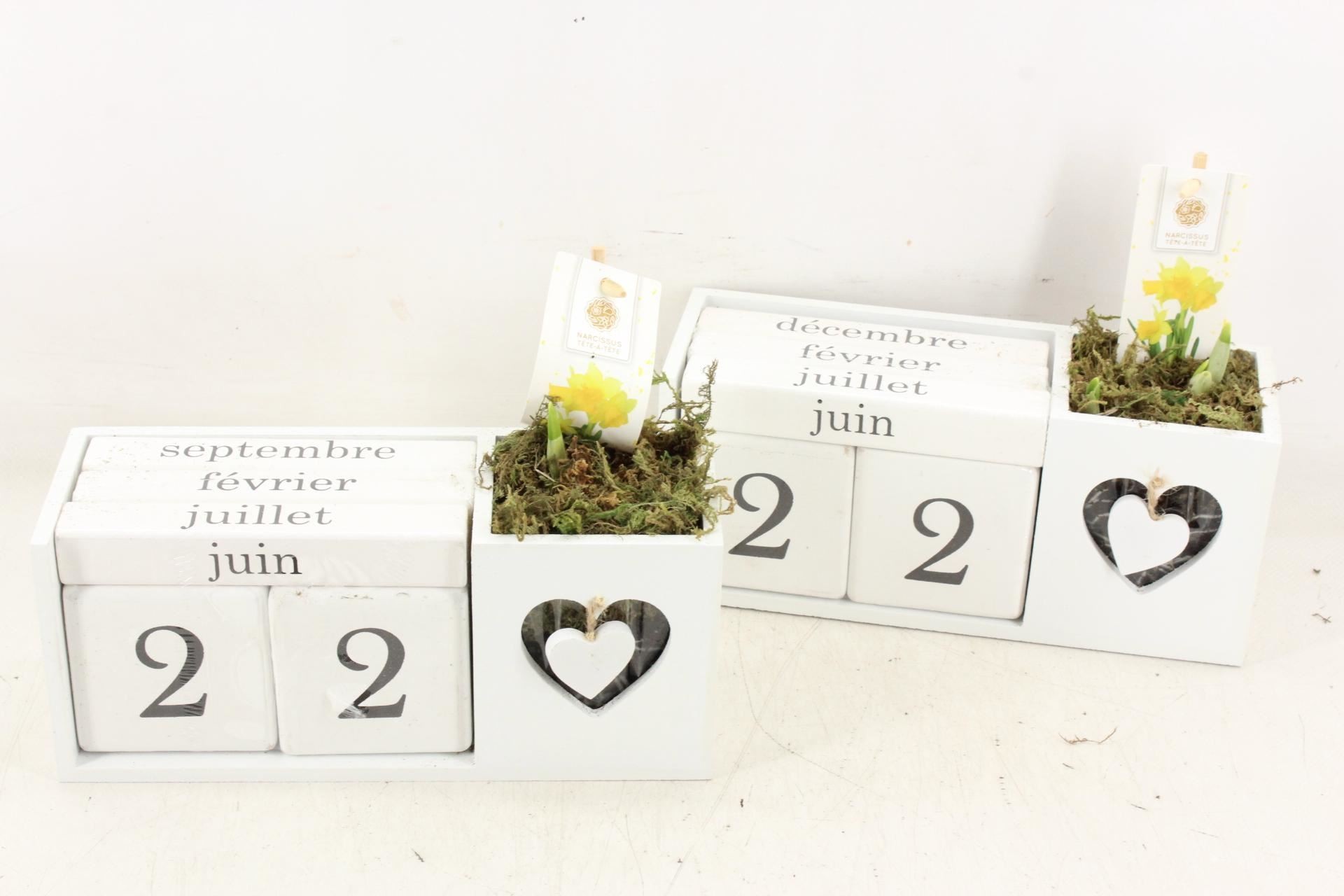 COMPOSICIO NARCIS CALENDARI LOVE