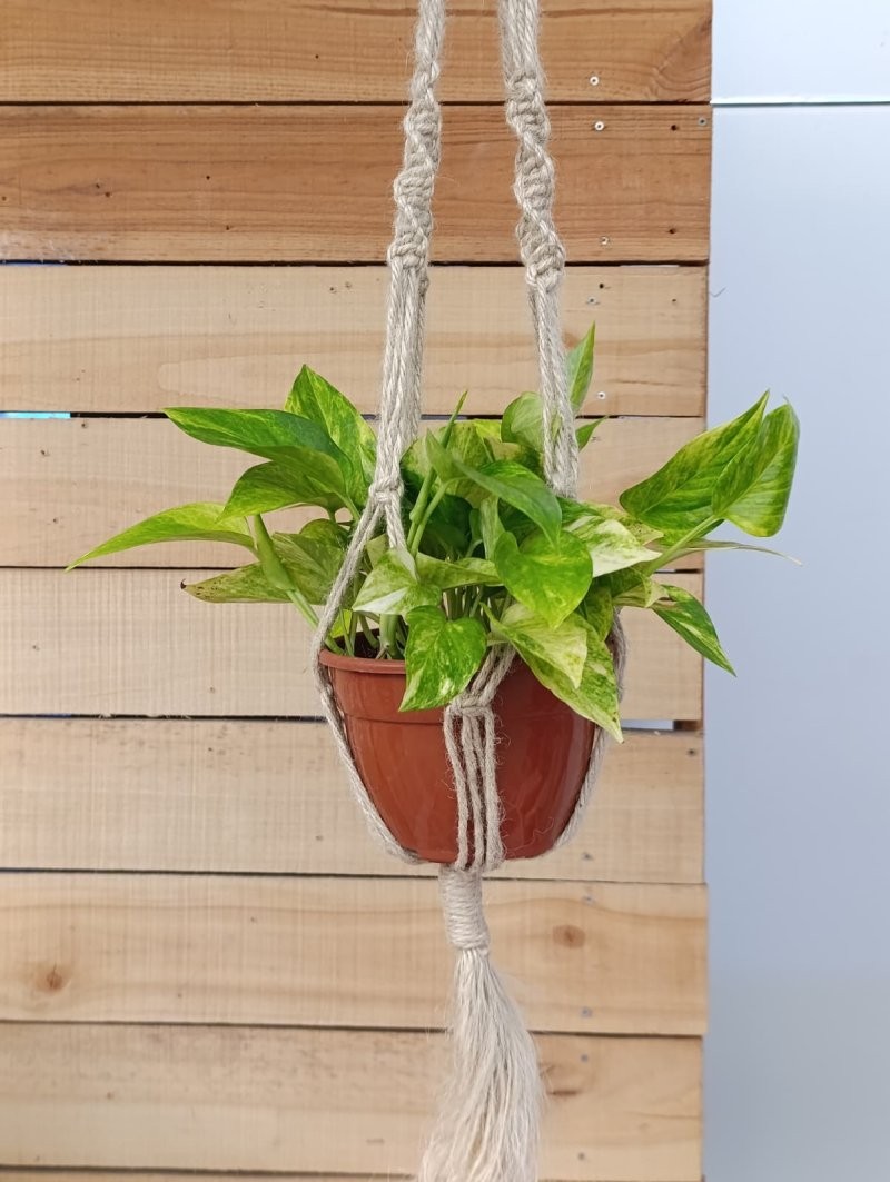 PENJADOR DE PLANTES DE MACRAME