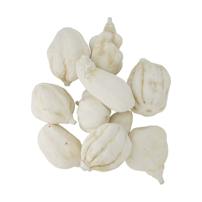 FRUIT BAOBAB 8-12CM 10UNI BLANC