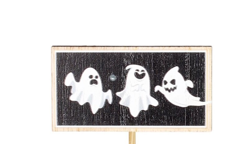 PICK 3 FANTASMES 4.3x8cm 50cm stick x25uni