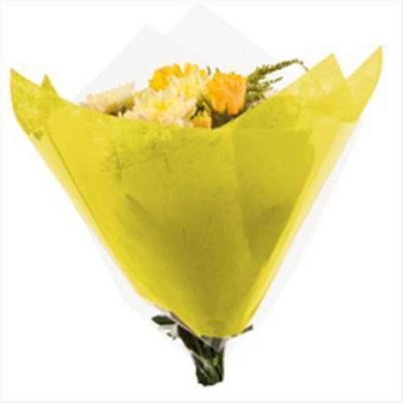 PAPER FIBRA COLORFLOR GROC 50x50cm 100un