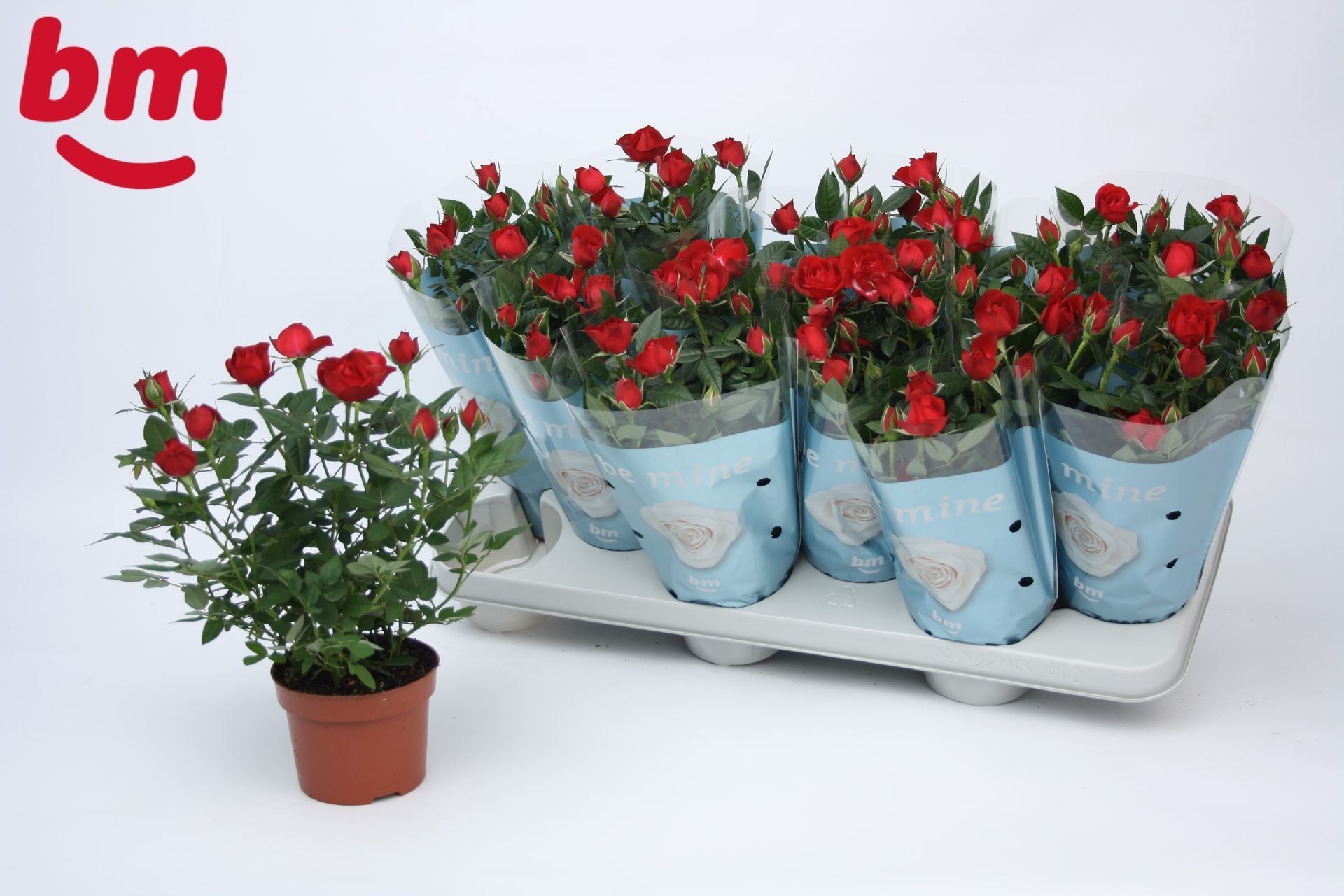 ROSER   MINI  M11  BM VERMELL