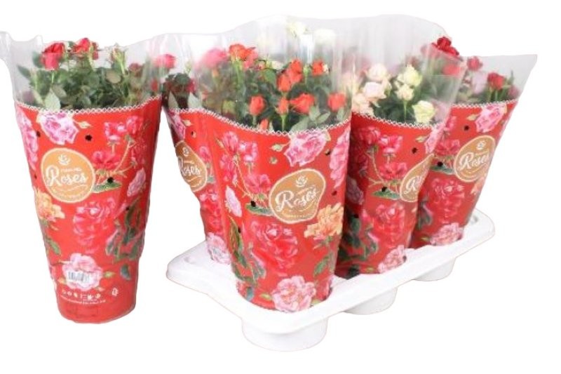 ROSER   MINI  M17  mix