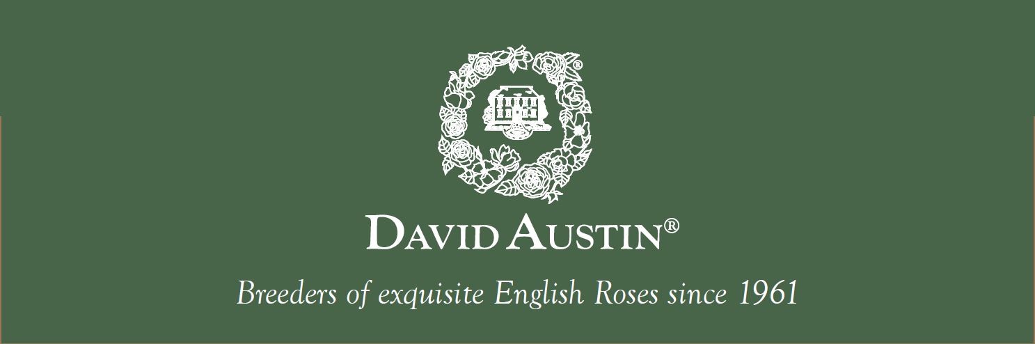 HEADERBOARD DOUBLE SIDED