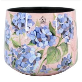 TEST ZINC NAXOS ES 10,5