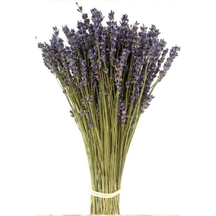 F.SECA, LAVANDULA BLUE SECA 40CM KRAFT