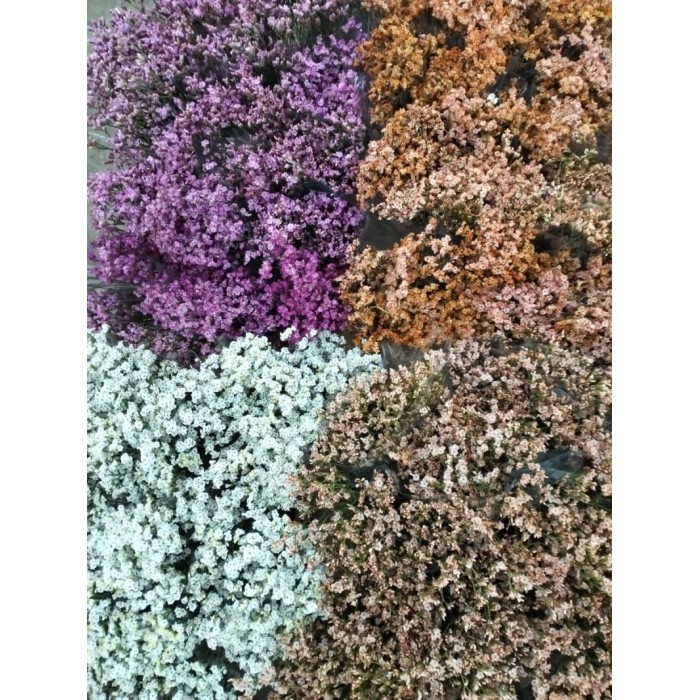 FLOR, LIMONIUM COLORS paq. x5 tiges.