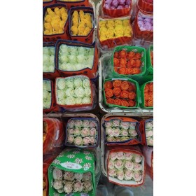 ROSA ECUADOR,  60cm. x25 COLORS