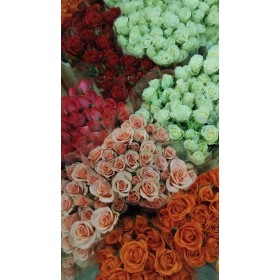 ROSA SPRAY 50/60cm. x 10 (ramificada)