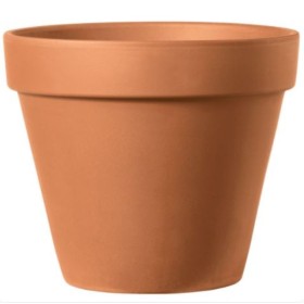 FANG TEST Diam 05cm CAIXA 48 UNITATS