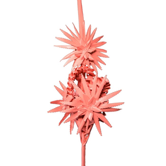 PALMA TREBALLADA nº 17 COLOR (55cm a 60cm)