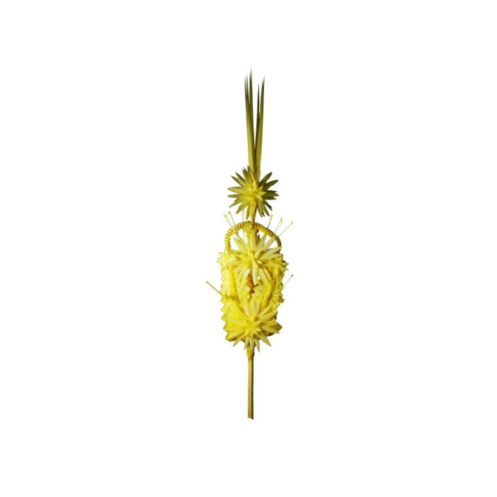 PALMA TREBALLADA nº  9 (de 80 a 90cm)