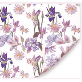 BOBINA ESPLENDOR SIRI VERD 70cmx40m 