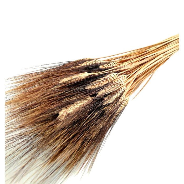 F.SECA, ESPIGUES SEQUES RASPA NEGRE 400gr.