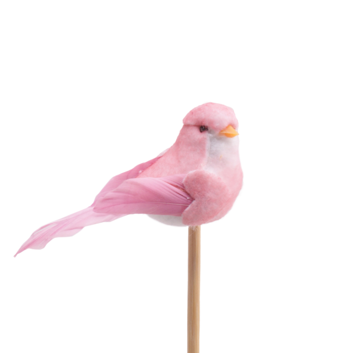 PICK OCELL BIBI 10CM PAL 50CM ROSA 25UNI