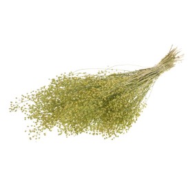 F.SECA, Lepidium Atraxa verd natural CRAFT