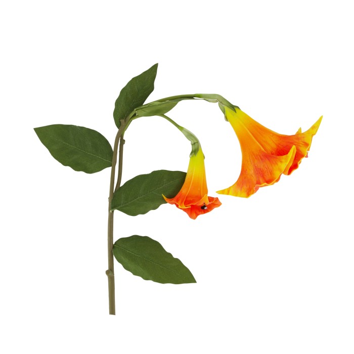 FLOR DATURA  TARONJA 24x24x129cm